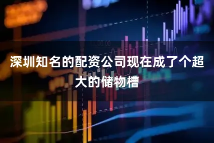 深圳知名的配资公司现在成了个超大的储物槽