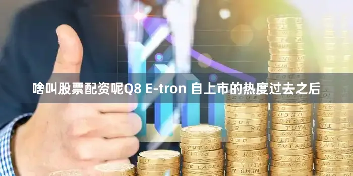 啥叫股票配资呢Q8 E-tron 自上市的热度过去之后