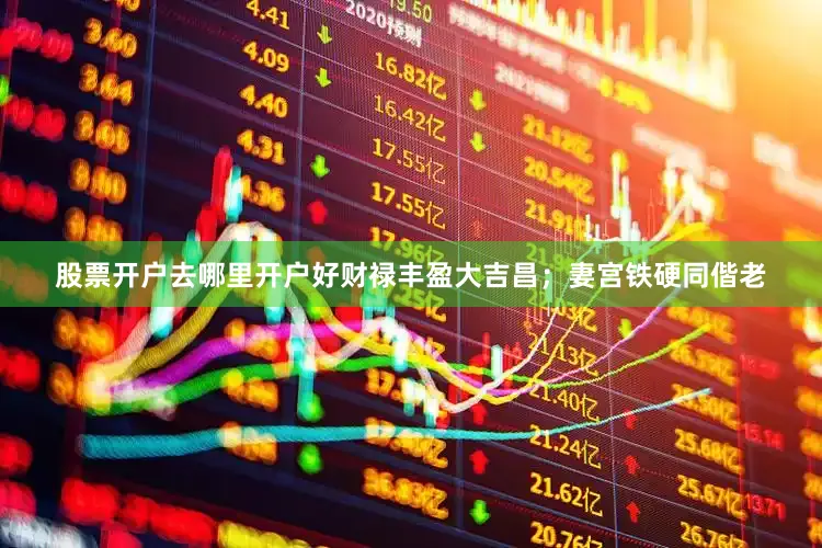股票开户去哪里开户好财禄丰盈大吉昌；妻宫铁硬同偕老