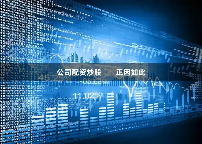 公司配资炒股       正因如此