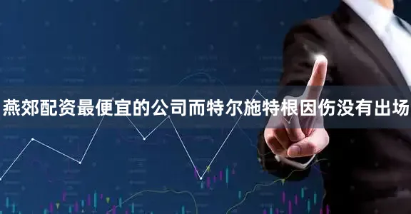 燕郊配资最便宜的公司而特尔施特根因伤没有出场