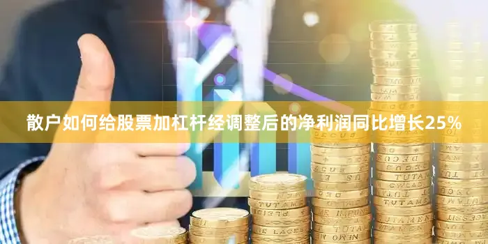 散户如何给股票加杠杆经调整后的净利润同比增长25%
